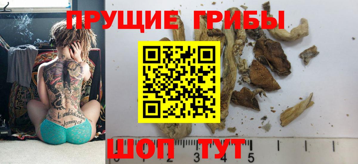 Галлюциногенные грибы мицелий Кузнецк
