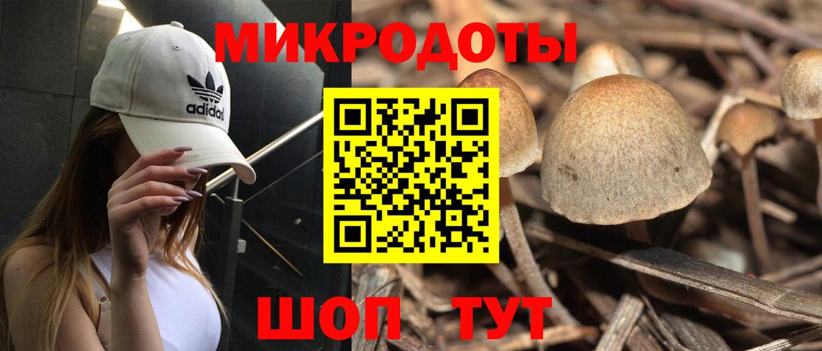 Кузнецк  Галлюциногенные грибы мицелий  Галлюциногенные грибы MAGIC MUSHROOMS  Вход с VPN 